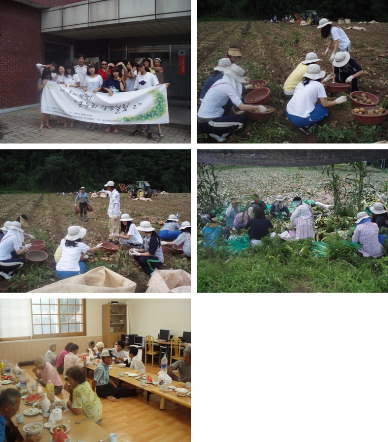 dce8e5870bcdb5e82910e1d8ae919673_1779942648_2573.png